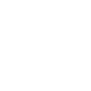 Opensea Icon